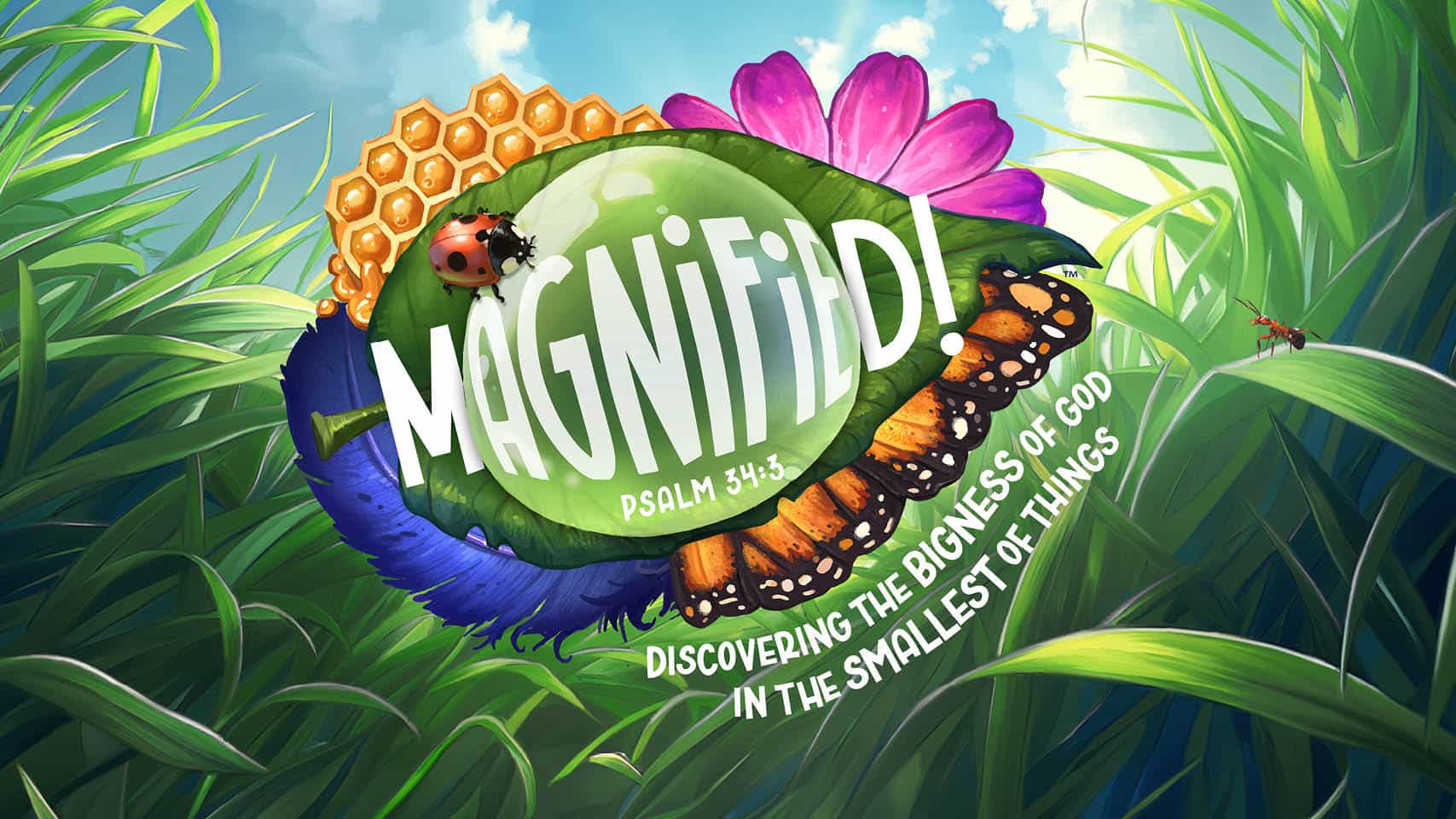 Vacation Bible School